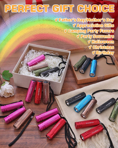 EverBrite cerulean mini flashlight color ideal for outdoor night reading