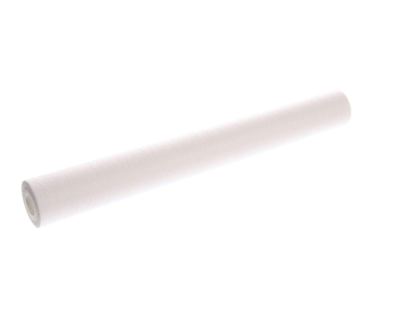 Everpure EC210 cartridge for 20-inch systems filtering dirt and sediment for clearer water
