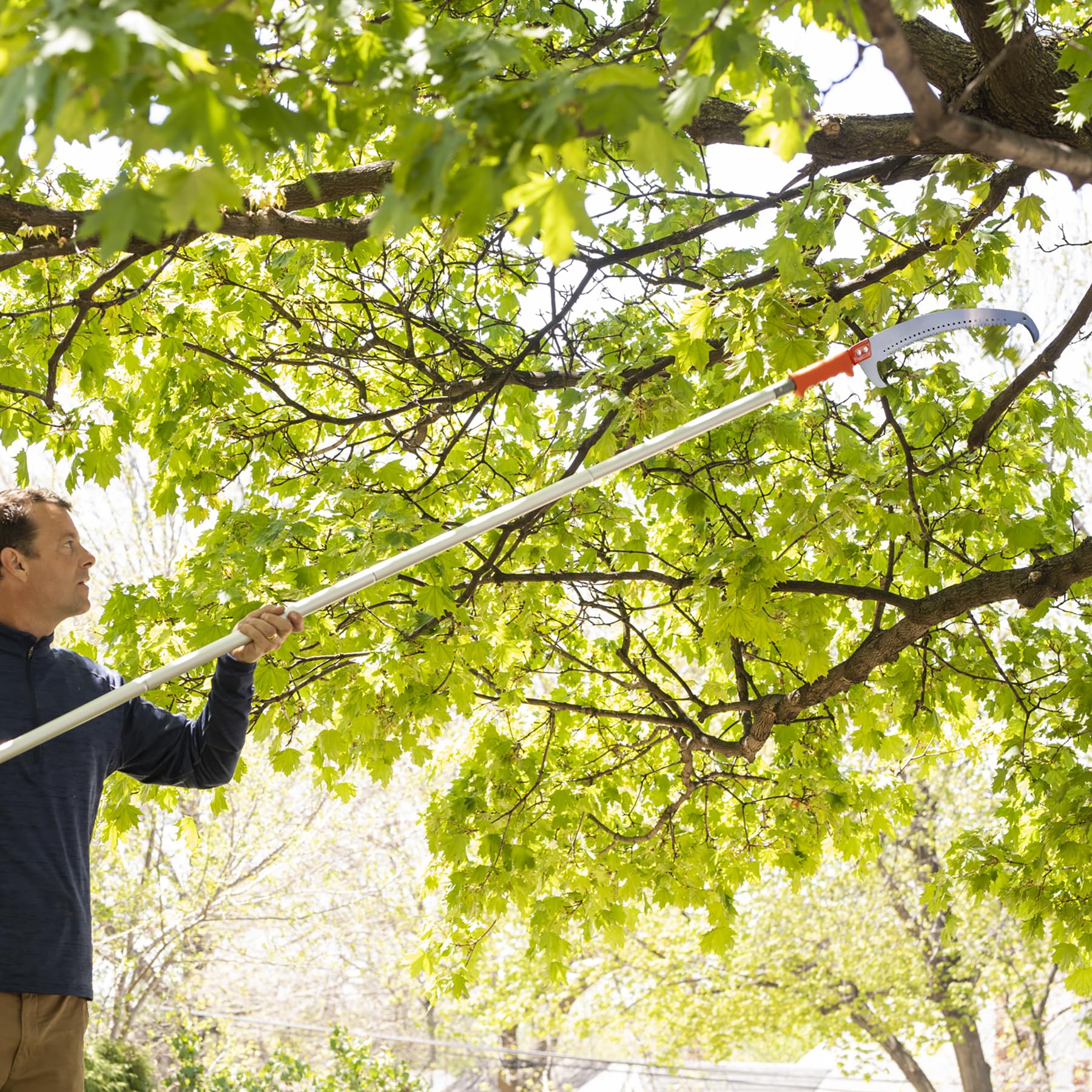 EZ SMART fruit picker compatible pole for harvest from tall branches.