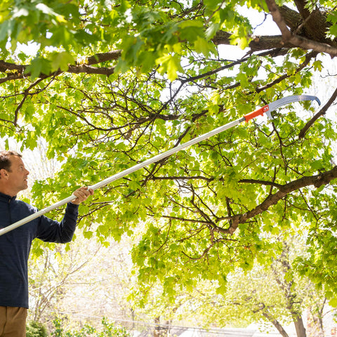 EZ SMART fruit picker compatible pole for harvest from tall branches.