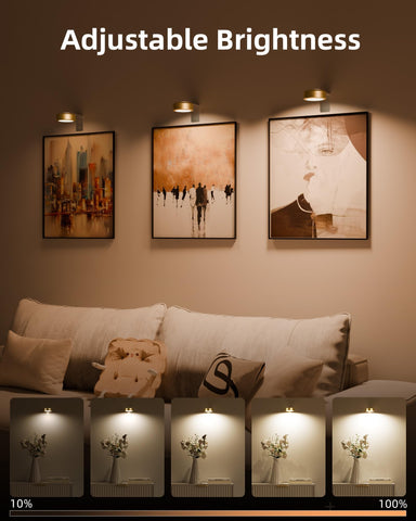 EZVALO three color temps and twelve RGB options for mood lighting
