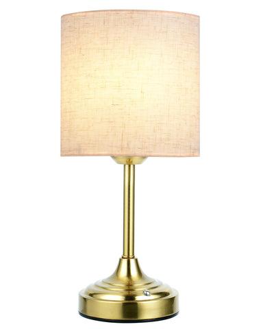 EZVALO lamp with 8000mAh battery for cordless all-day use