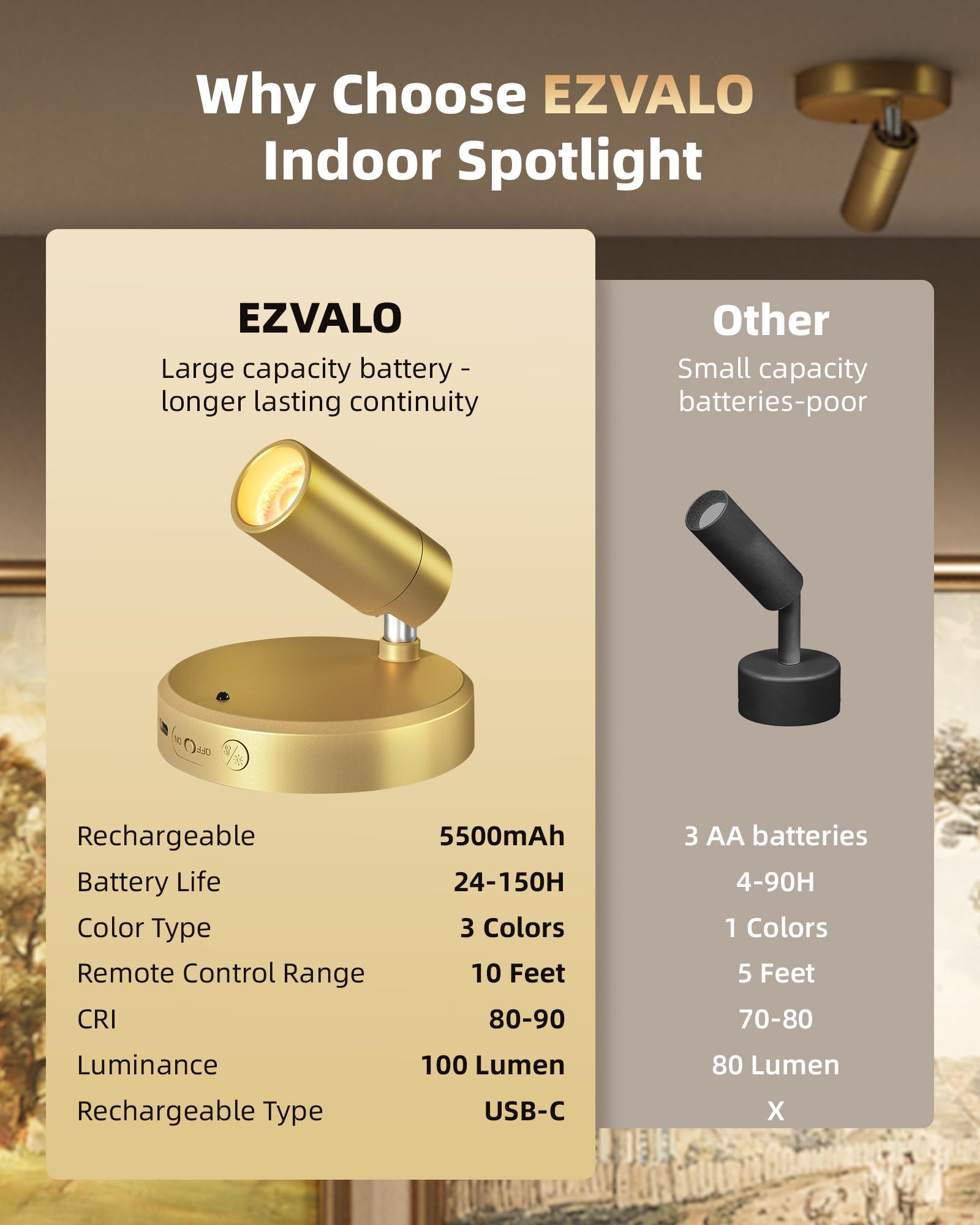 EZVALO compact wireless art light suitable for plants, paintings, portraits