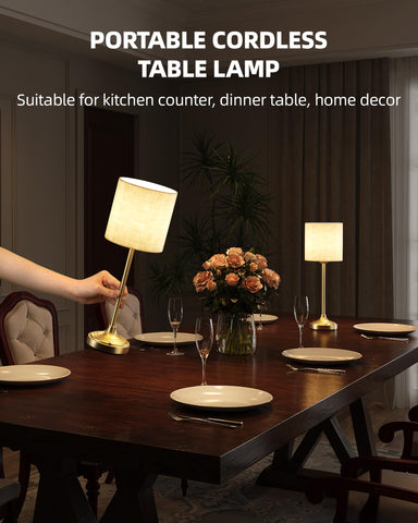 EZVALO 8000mAh battery powers portable lighting throughout the room.