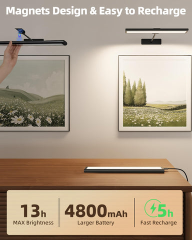 EZVALO LED light provides 3-color temperatures for accurate color in frames.