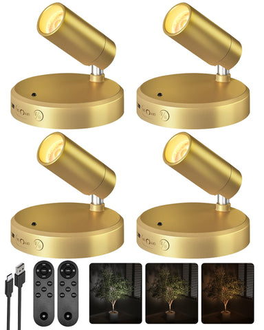 EZVALO gold indoor spotlight front view highlighting plant illumination.