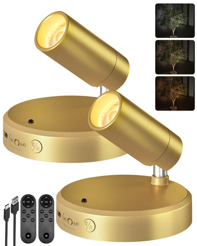 EZVALO LED spotlight with remote control highlights artwork and plants