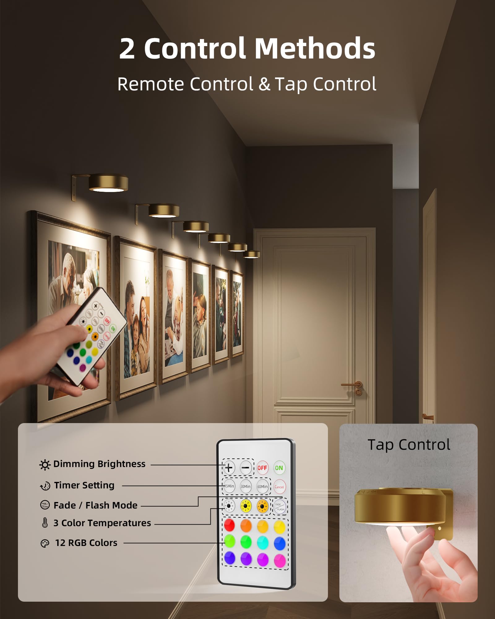 EZVALO 12 RGB colors for dynamic display and seasonal accents