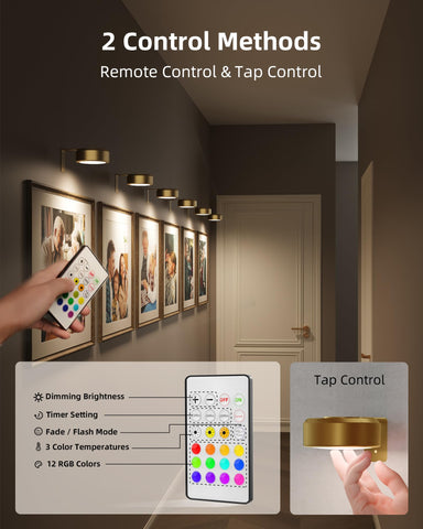 EZVALO RGB lighting offers 12 colors for vibrant art illumination.