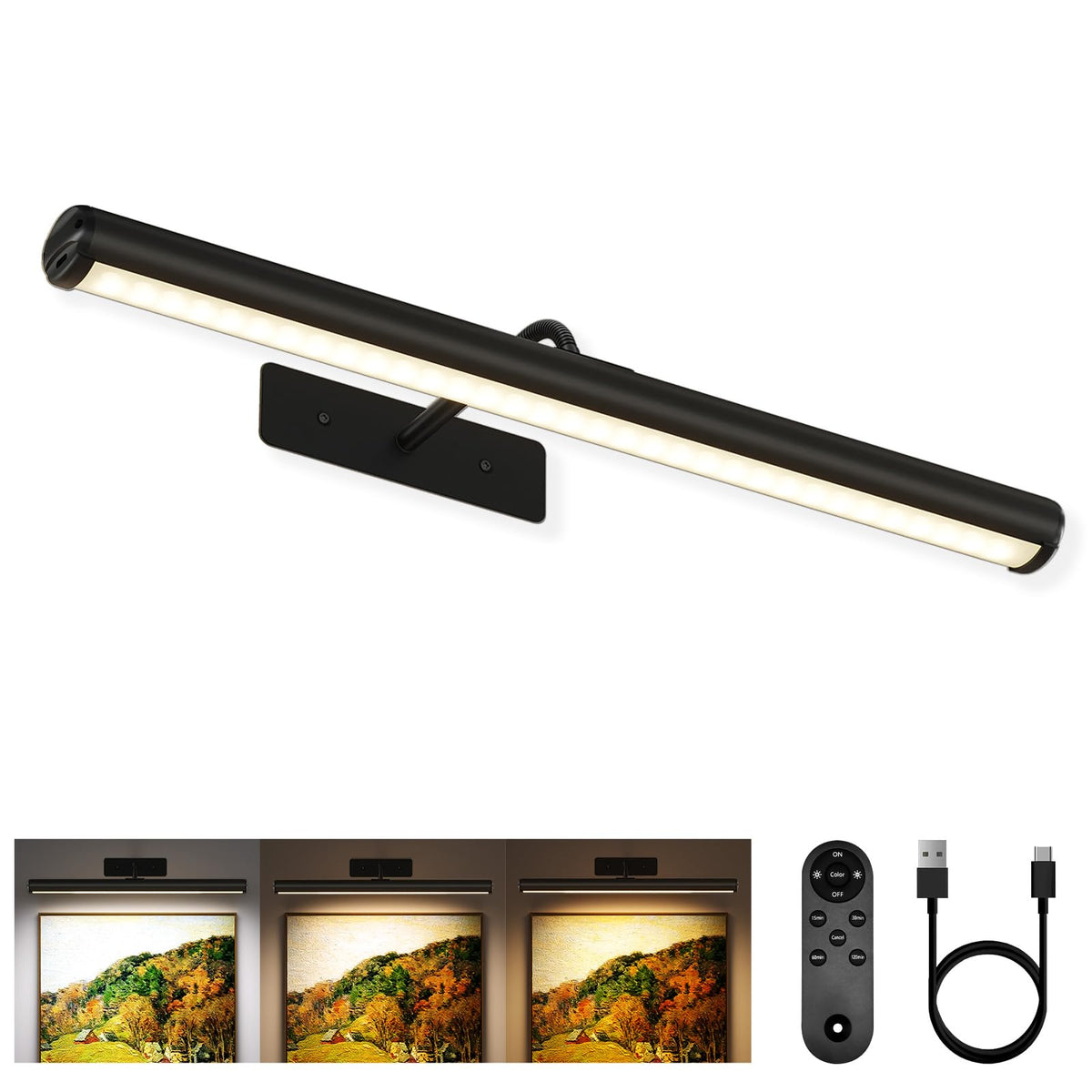 EZVALO picture light on a wall, 16inch, matte black, even illumination for artwork