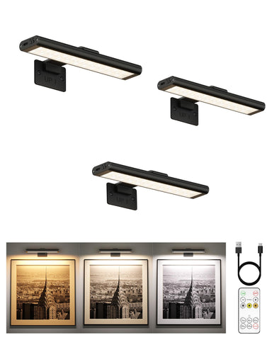 EZVALO 8-inch picture light illuminating art with even, vivid color