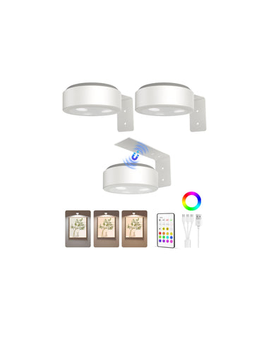 EZVALO picture light on wall powered by battery for convenient art illumination
