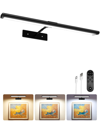 EZVALO picture light mounted on wall for vivid art illumination.