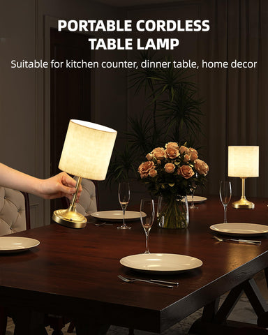 EZVALO brass base adds elegant, stable support