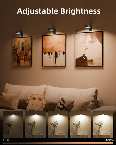 EZVALO RGB 12 colors provide vibrant mood lighting for art.