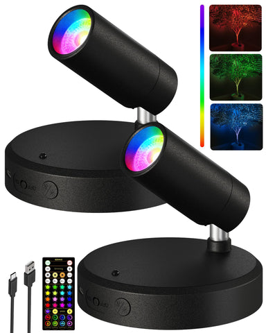 EZVALO RGB spotlight with remote illuminating indoor decor and plants
