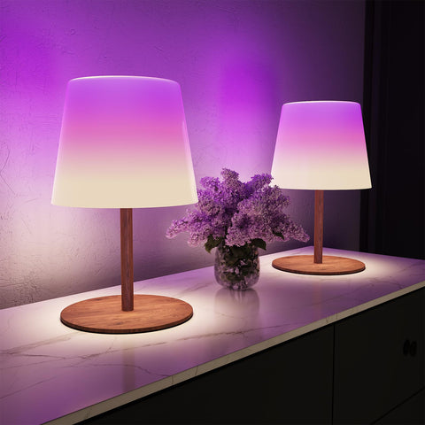 EZVALO RGB shower lamp with color changing ambiance for safer showers.