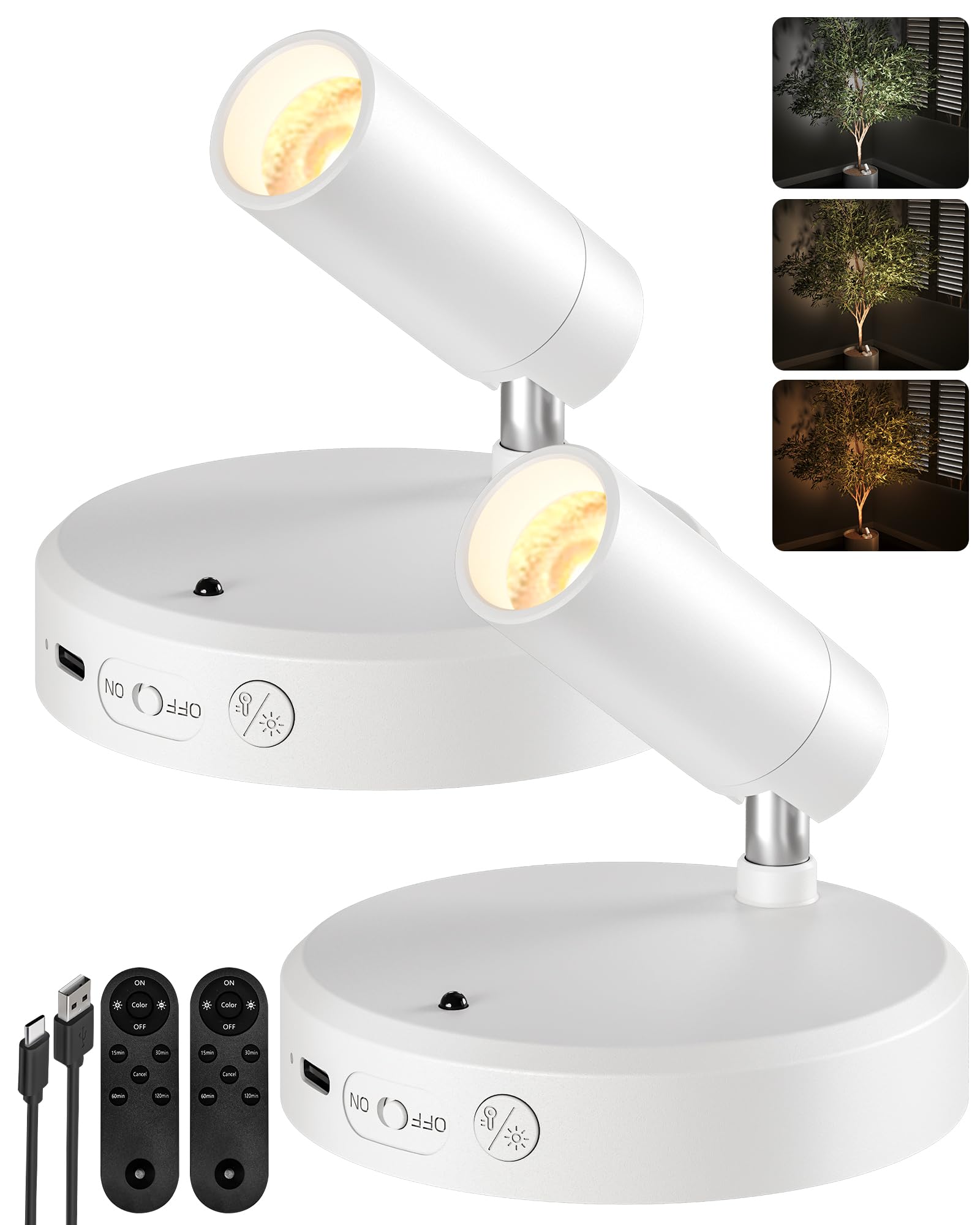 EZVALO spot light indoor with remote control highlights artwork with adjustable brightness.