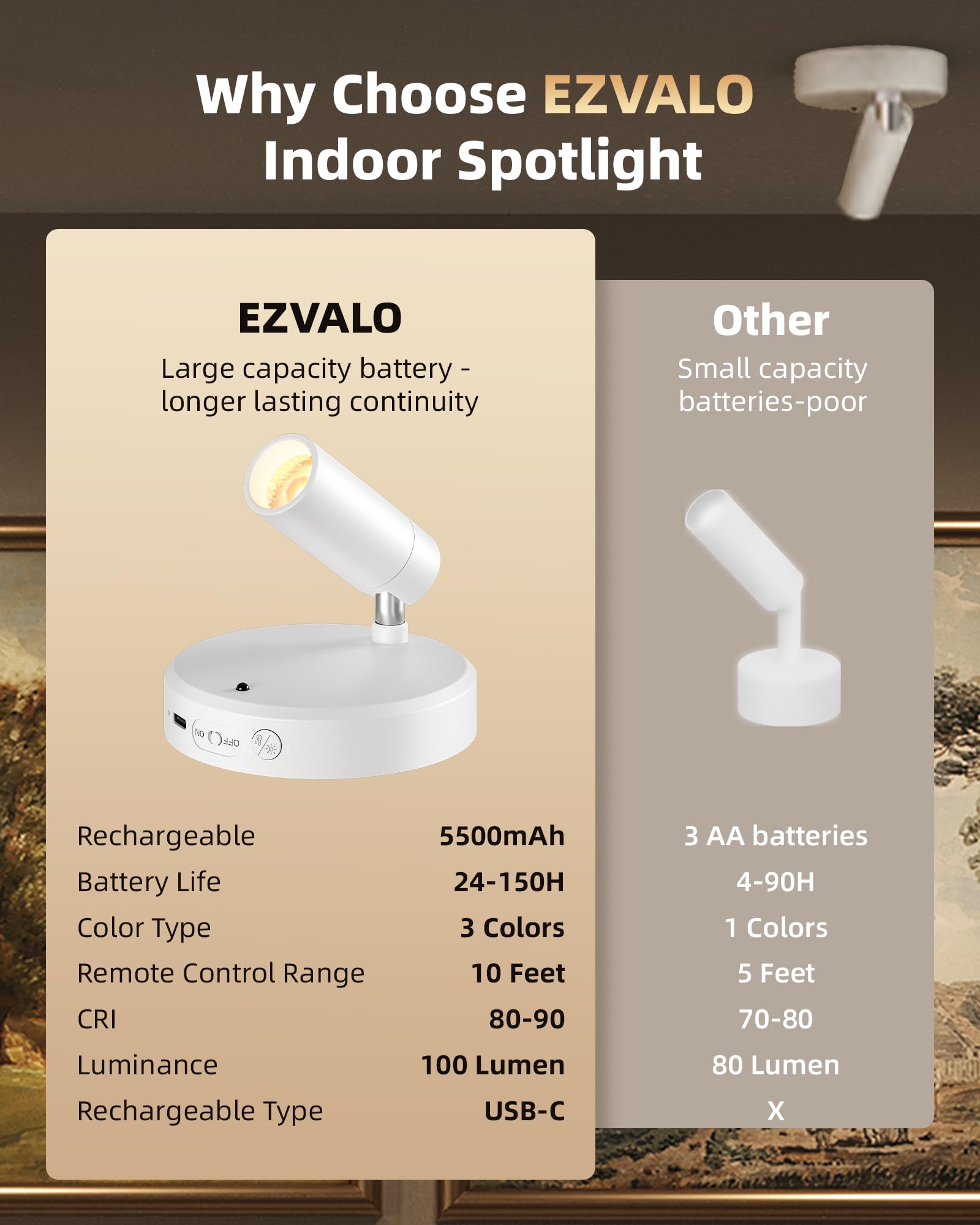 EZVALO long runtime at low brightness supports ambient plant and wall lighting.