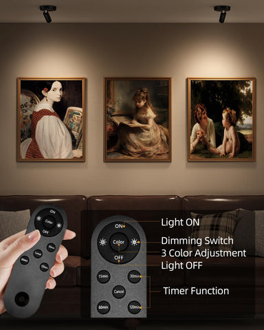 EZVALO rechargeable battery spotlight with USB C charging for cordless use