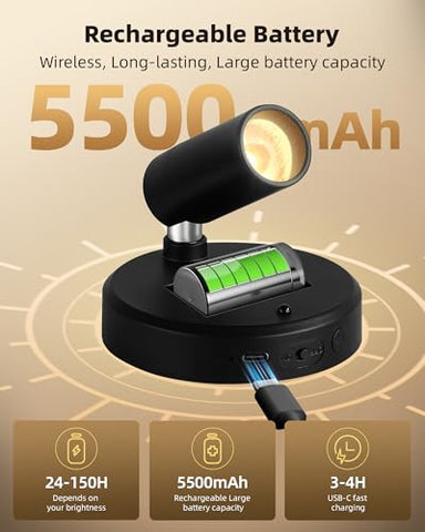 EZVALO LED picture light with remote control for effortless wall art lighting