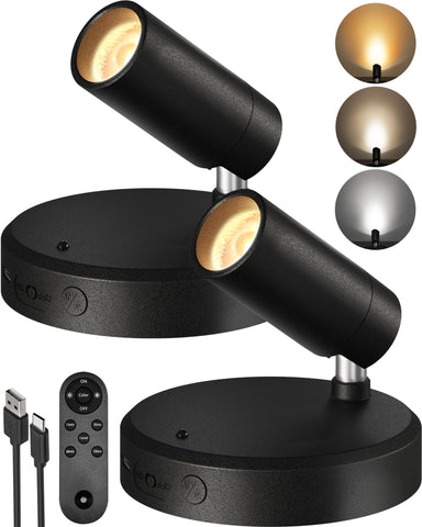 EZVALO Spotlights indoor with remote mounted on wall for precise artwork accent lighting