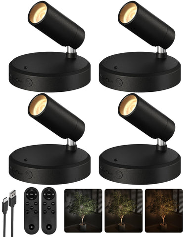 EZVALO indoor spotlight with remote setup on art for enhanced display