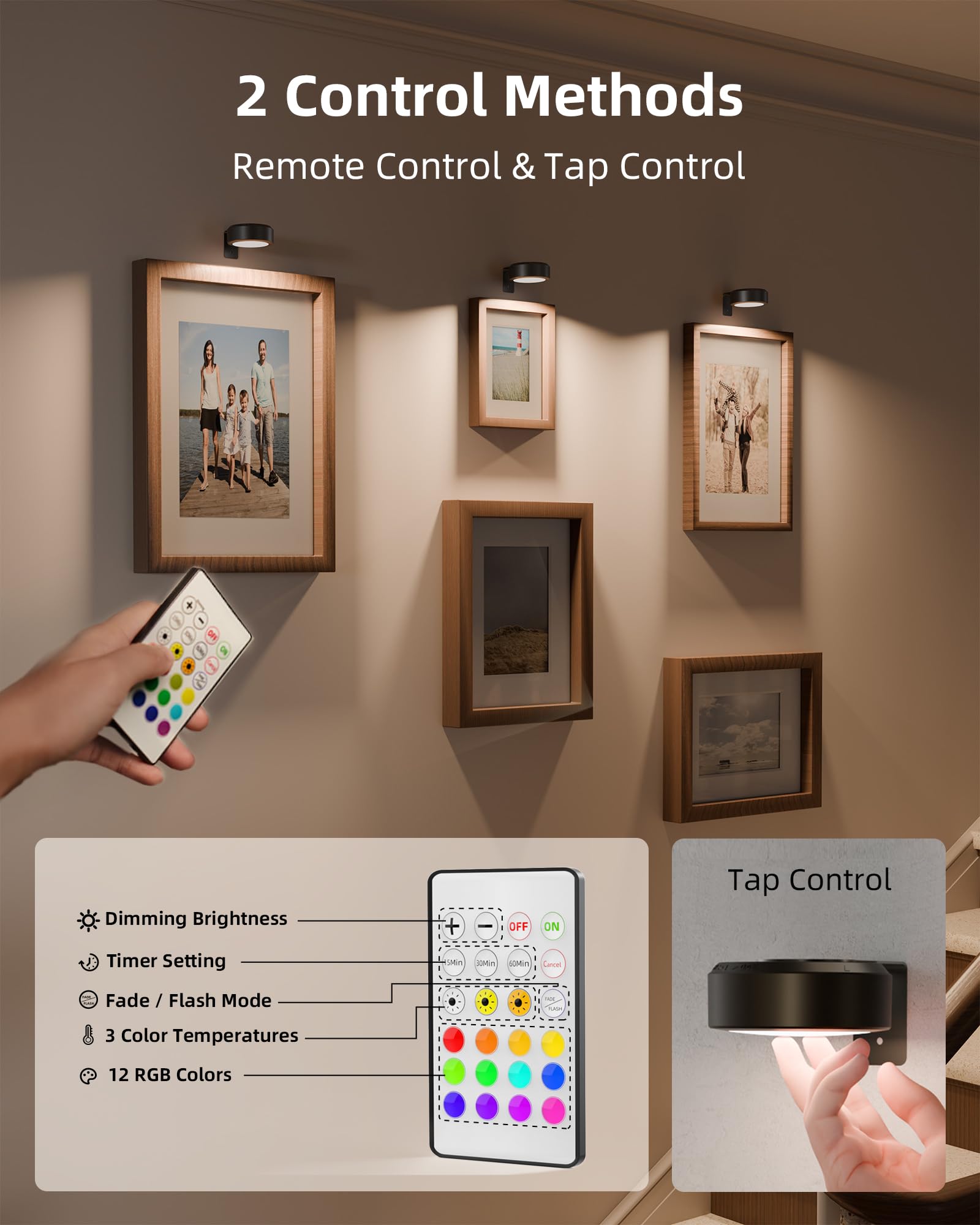 EZVALO twelve RGB colors for dynamic lighting effects.