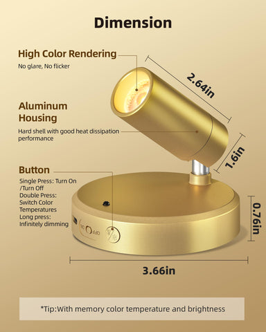 EZVALO wall art spotlight adjustable head for precise lighting on decor