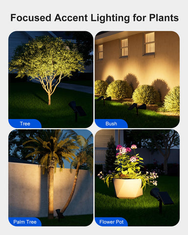 FALOVE spotlight lights garden paths for safe, inviting nighttime strolls
