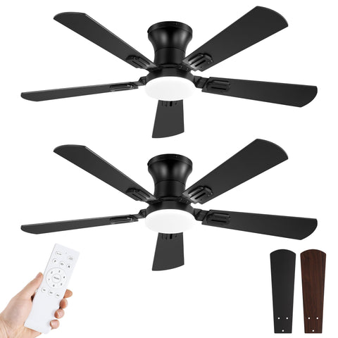 Fanbulous 42 inch ceiling fan with light and remote in black for living room