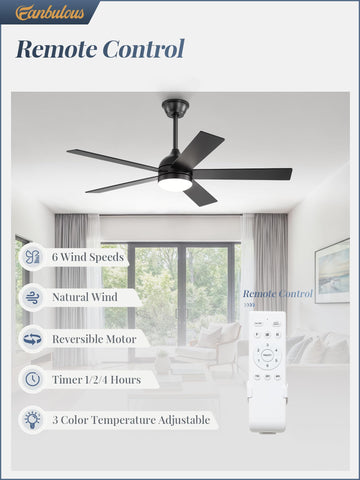 Fanbulous black ceiling fan with light and remote for a sleek look.