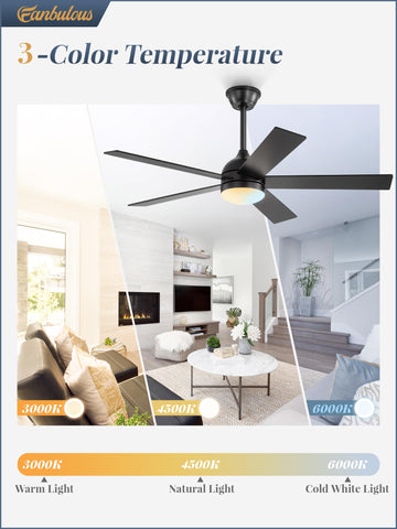 Fanbulous dual-color blades offering versatile decor matching options.