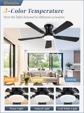 Fanbulous dual finish blades black and dark walnut for modern rustic style