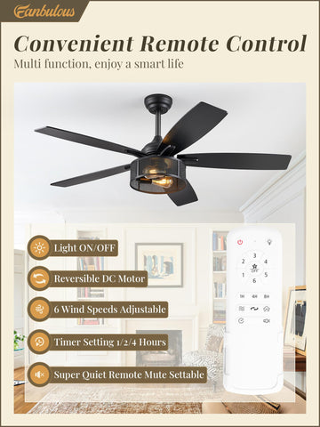 Fanbulous farmhouse ceiling fan with dual-color blades for industrial-rustic style.