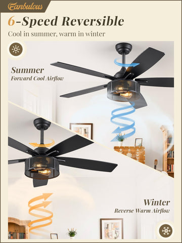 Fanbulous quiet DC motor ceiling fan for peaceful rooms.