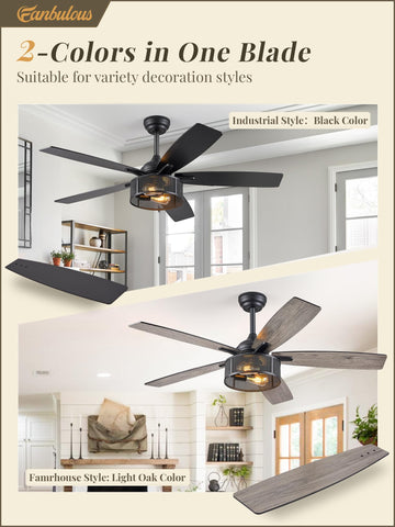 Fanbulous remote-controlled ceiling fan with lights and six speeds.