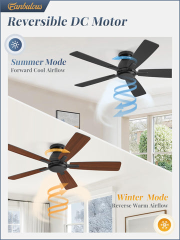 Fanbulous forward-reverse mode enables seasonal comfort and efficiency