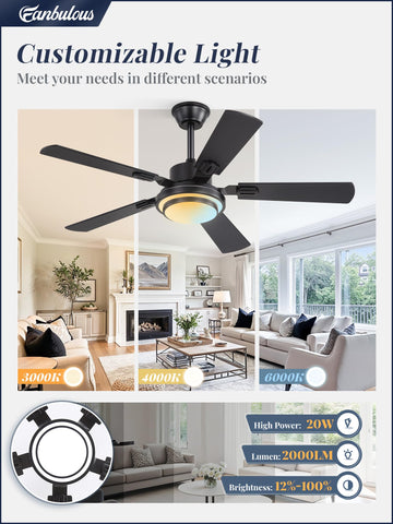 Fanbulous indoor-outdoor ceiling fan in black finish for covered patios.