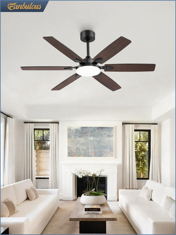 Fanbulous reverse blade rotation supports year-round comfort.