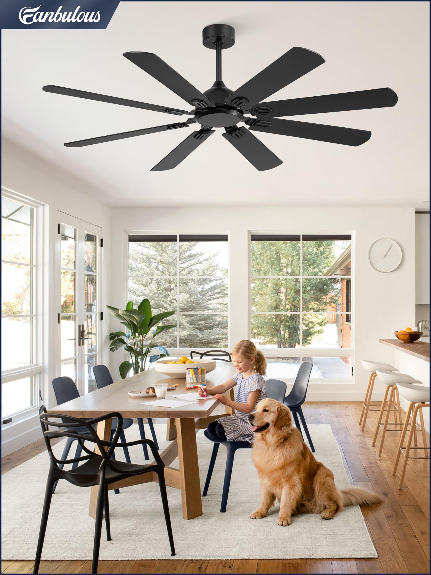 Fanbulous suitable for indoor or covered outdoor areas like living rooms and patios.