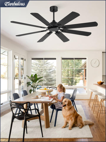 Fanbulous suitable for indoor or covered outdoor areas like living rooms and patios.
