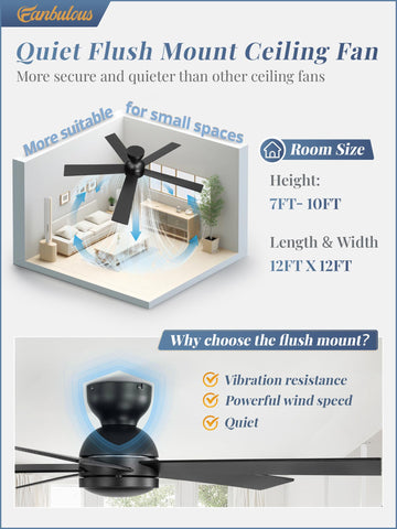 Fanbulous no-light matte black fan suits modern interiors without distractions.