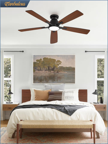 Fanbulous premium finish and sturdy build emphasizing quality and durability