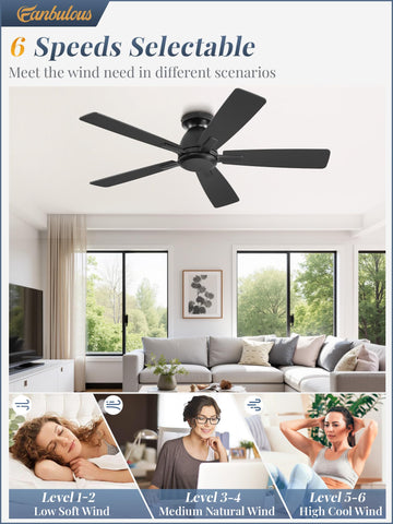 Fanbulous quiet brushless DC motor keeps spaces peaceful