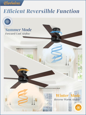 Fanbulous quiet DC motor delivers near-silent operation and energy efficiency.