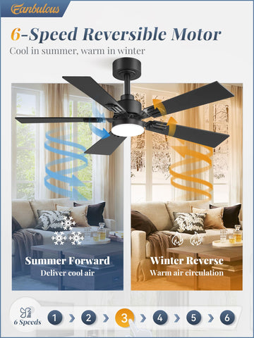 Fanbulous reversible blades in walnut and black for versatile decor.
