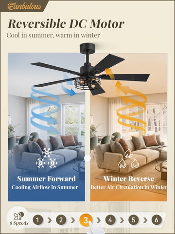 Fanbulous reversible function adapts airflow for seasonal comfort.