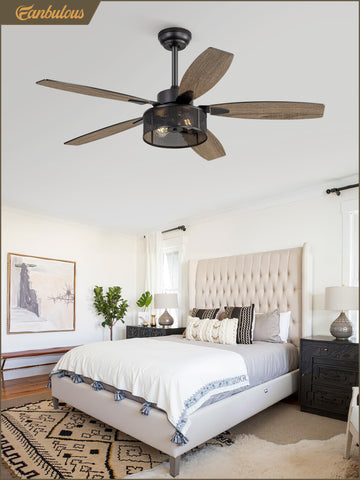 Fanbulous two-light cage fixture softly brightens rooms with warmth.
