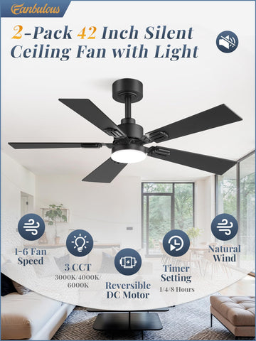 Fanbulous two-pack LED ceiling fans with shared remote for synchronized cooling.